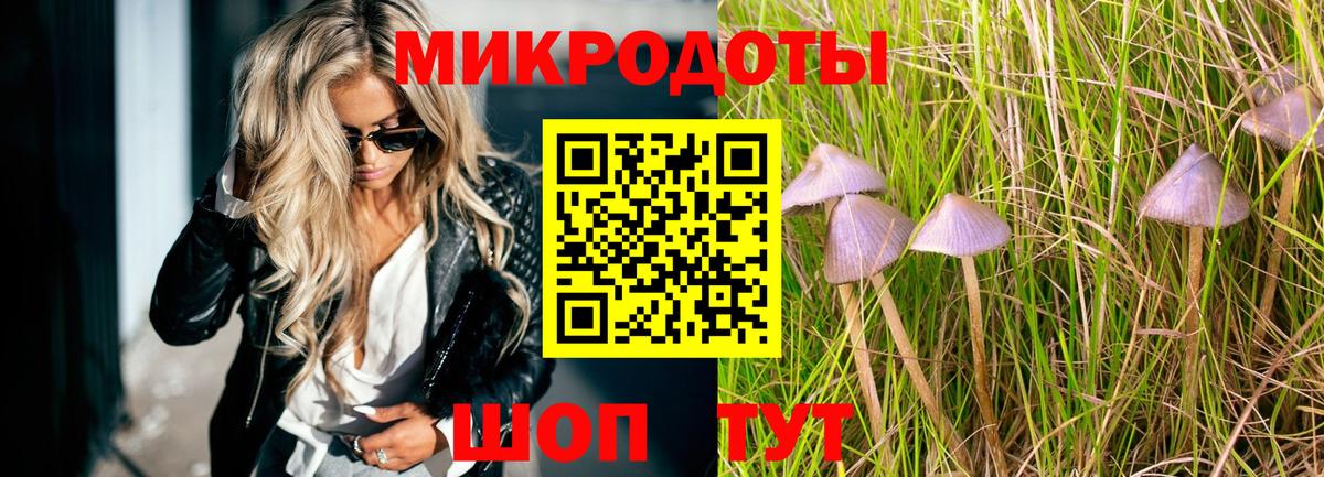 Псилоцибиновые грибы Cubensis Уфа